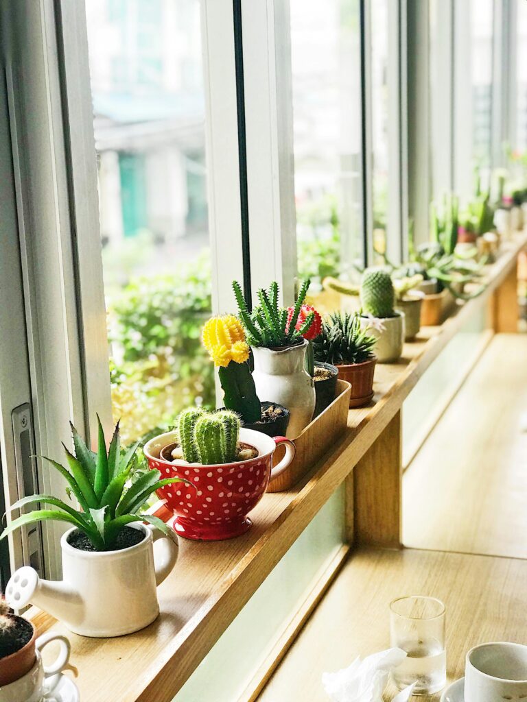 Grădinărit urban: creează-ți propria mini-grădină pe balcon sau în apartament 1 Grădinărit urban: creează-ți propria mini-grădină pe balcon sau în apartament