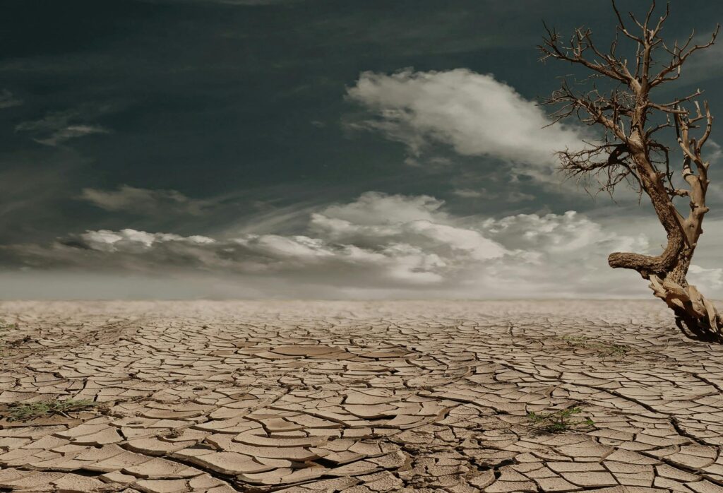 Schimbările climatice în 2025: impactul asupra vieții cotidiene în România